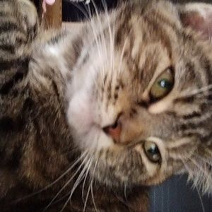 Meet your Posher, Juilan